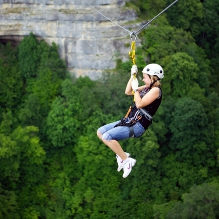 Троллей Zipline